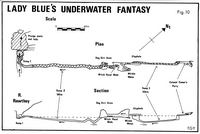 CDG NSI81 Lady Blues Underwater Fantasy